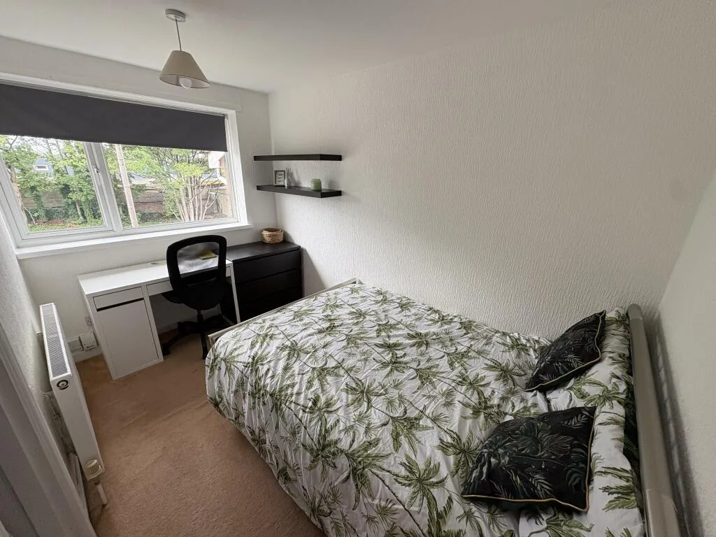 4 bedroom house for rent