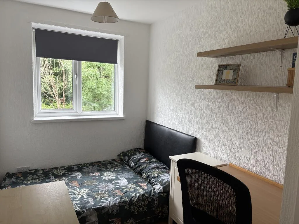 4 bedroom house for rent