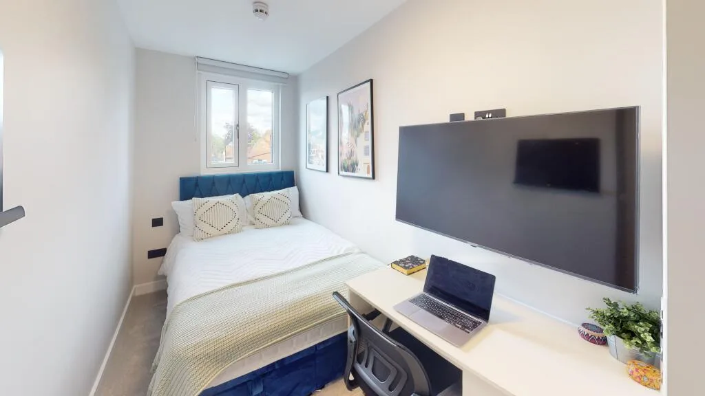 6 bedroom house for rent