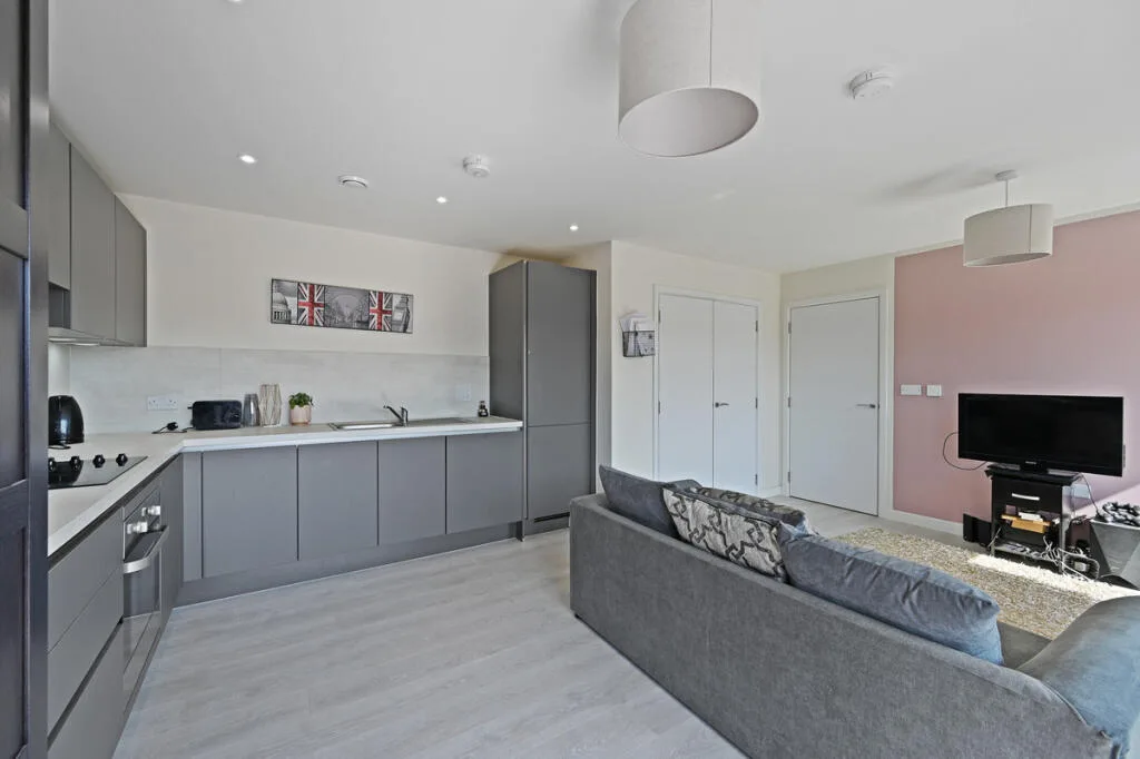1 bedroom apartment for rent