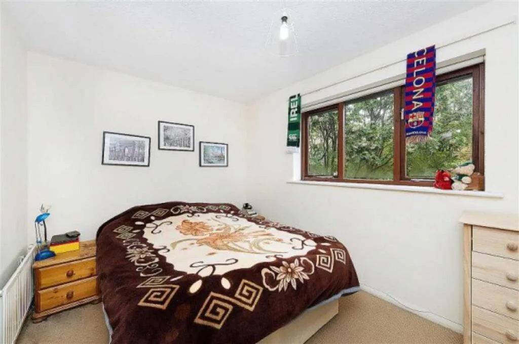 2 bedroom house for rent