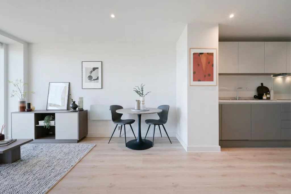 1 bedroom apartment for rent