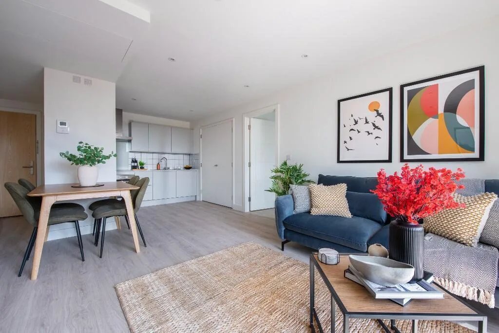 1 bedroom flat for rent
