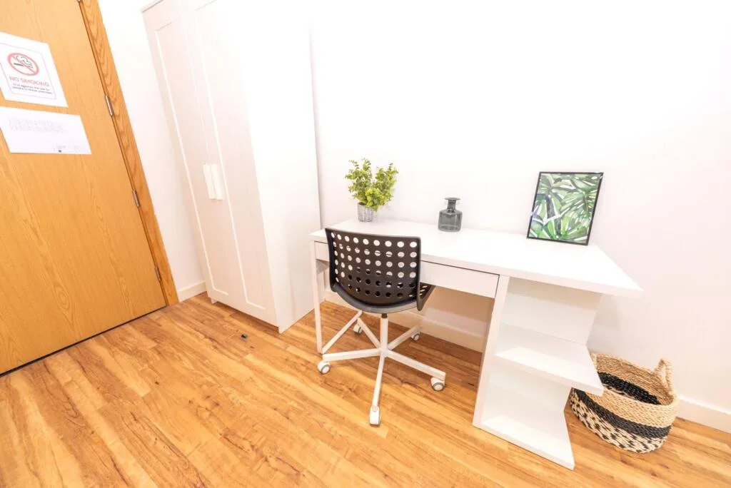 Studio flat for rent
