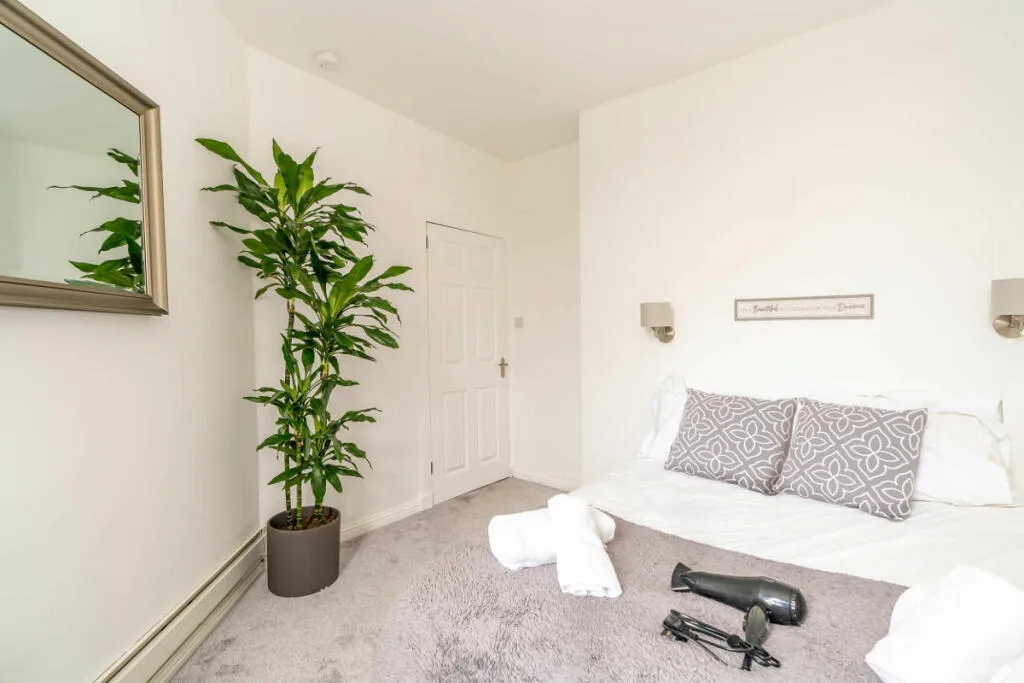 1 bedroom flat for rent