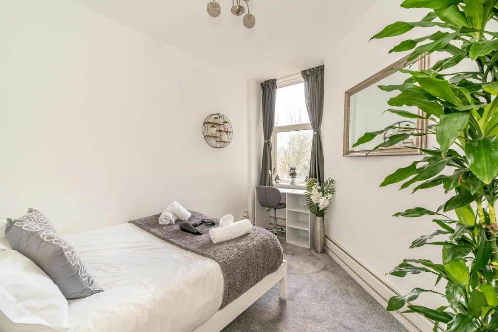 1 bedroom flat for rent