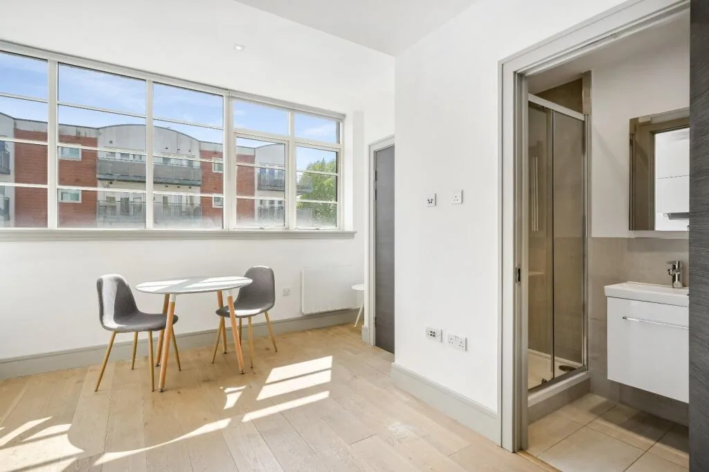 1 bedroom apartment for rent