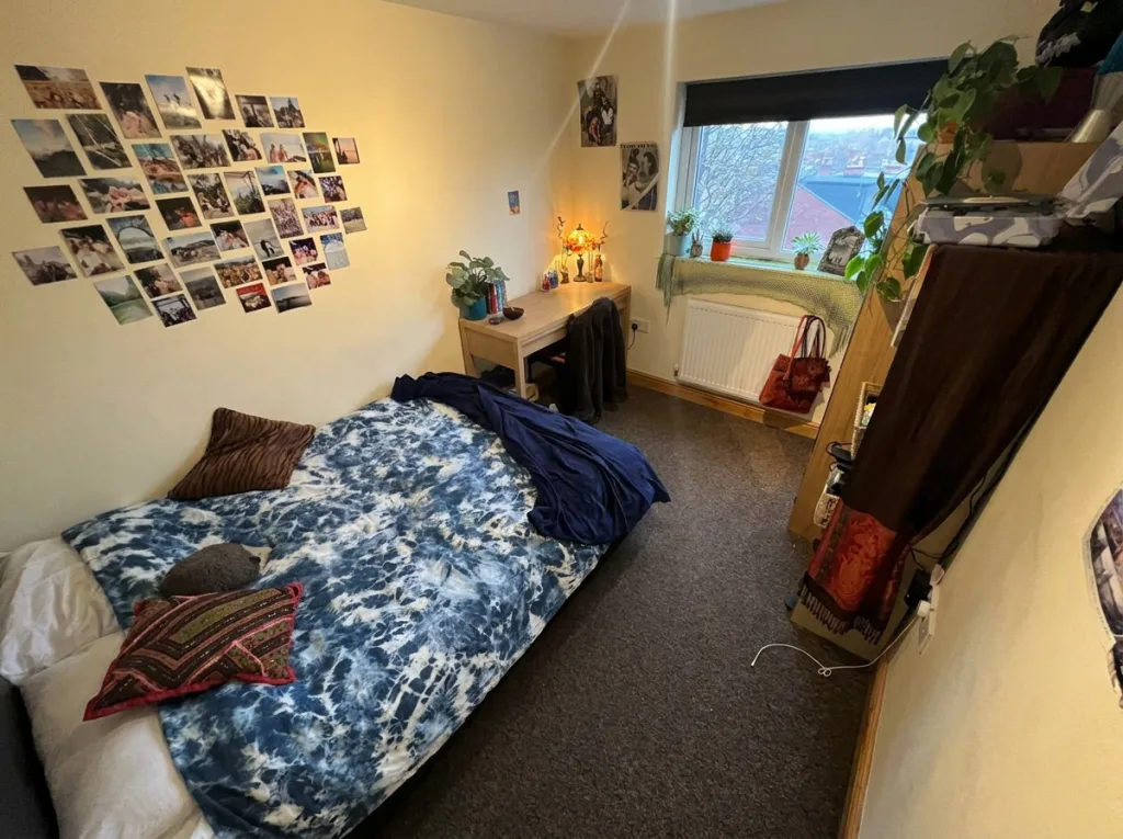 7 bedroom house for rent