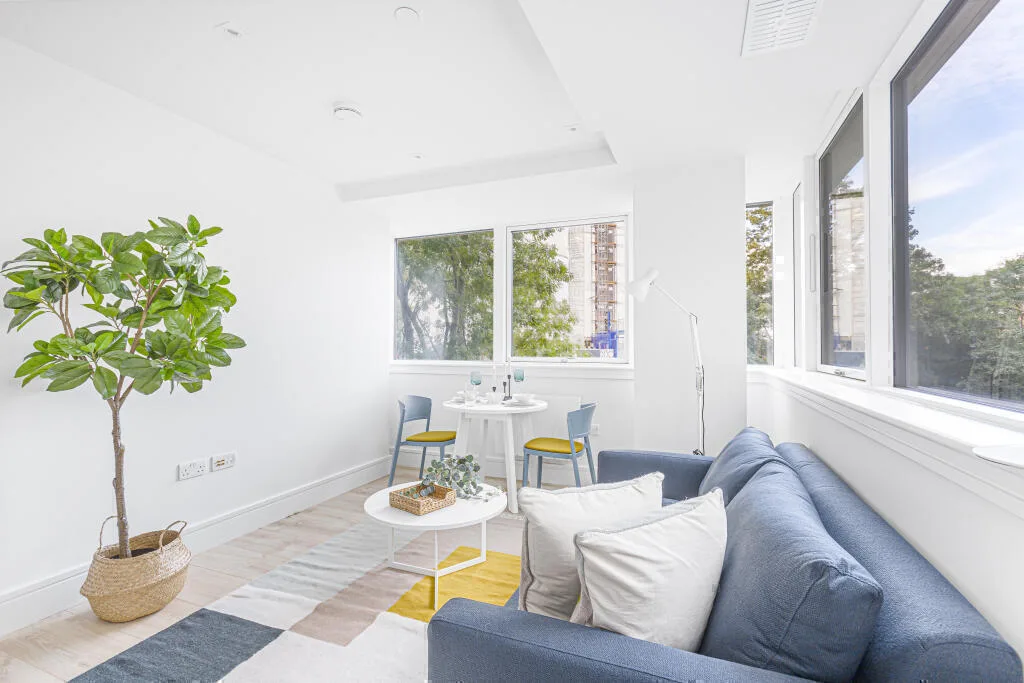 1 bedroom flat for rent