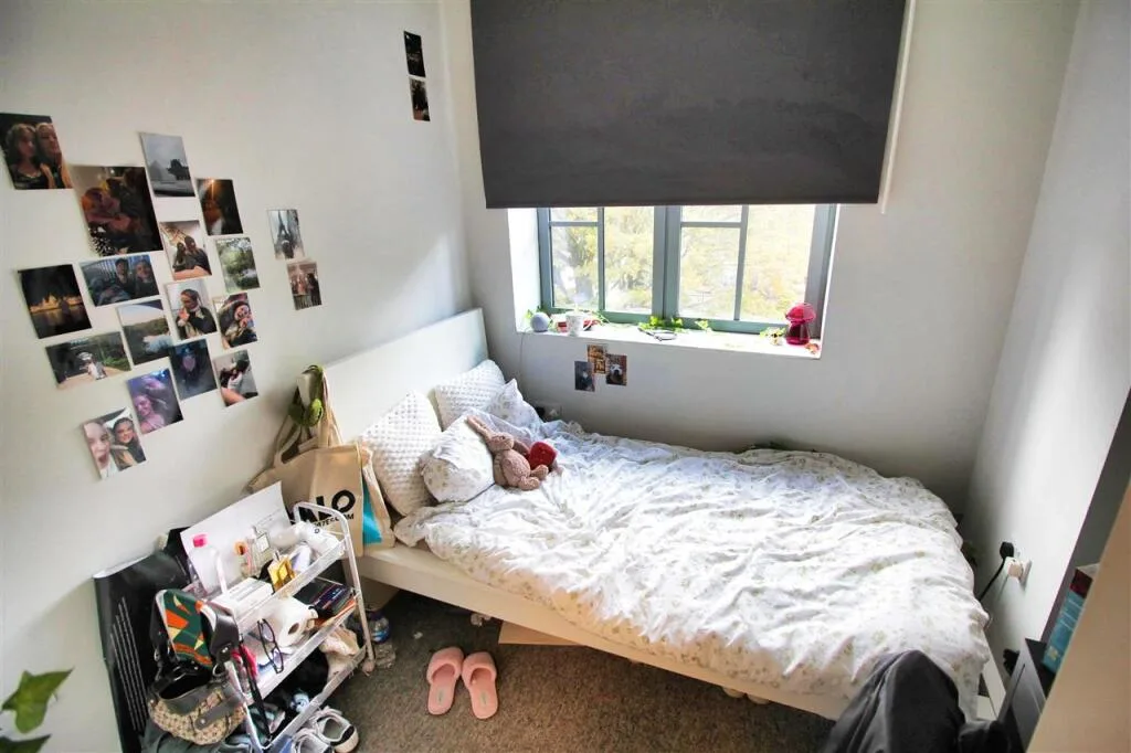 4 bedroom apartment for rent