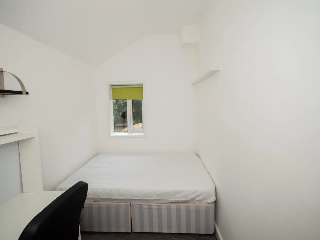 7 bedroom house for rent