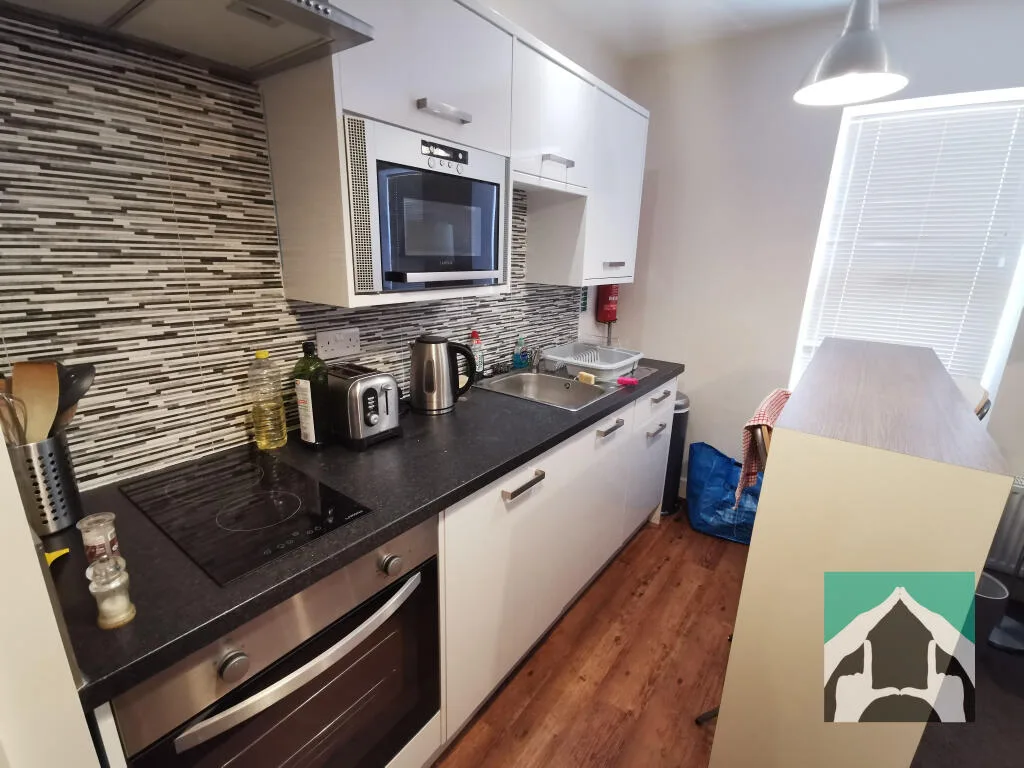 Studio flat for rent
