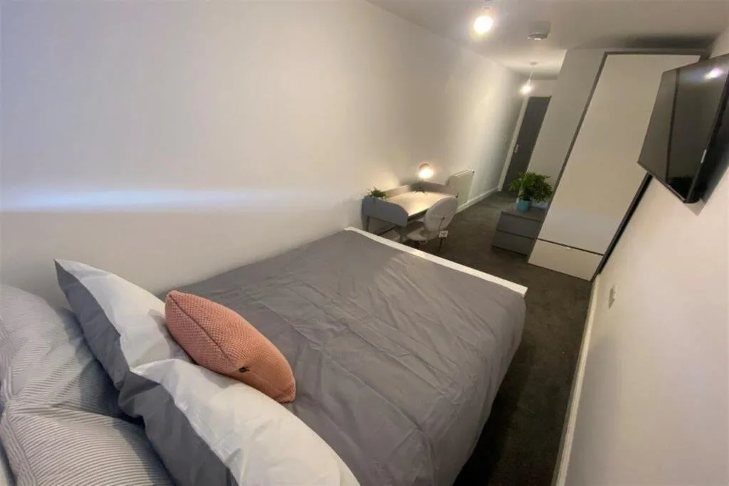 5 bedroom apartment for rent