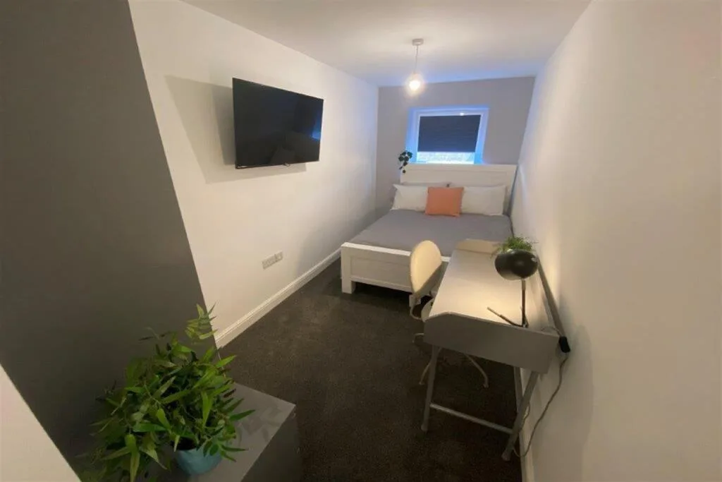 5 bedroom apartment for rent