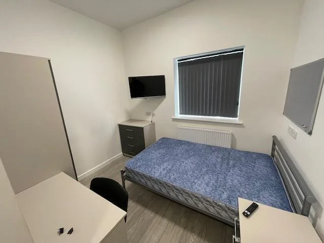 11 bedroom apartment for rent