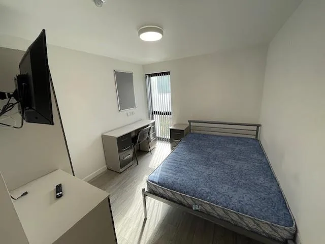 11 bedroom apartment for rent
