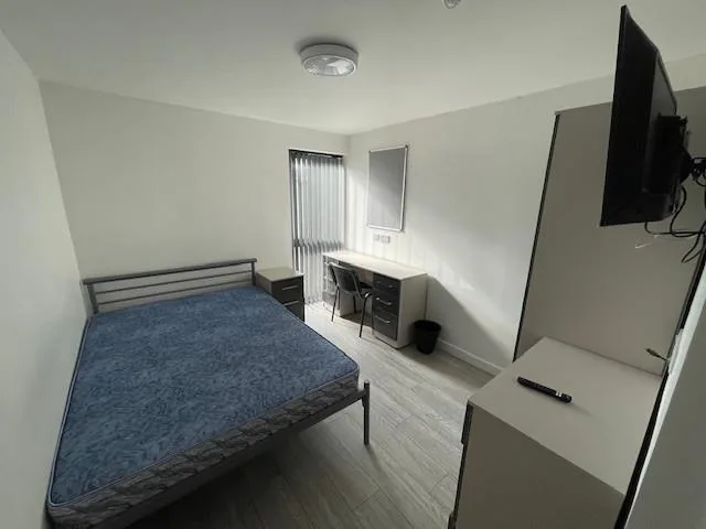 11 bedroom apartment for rent