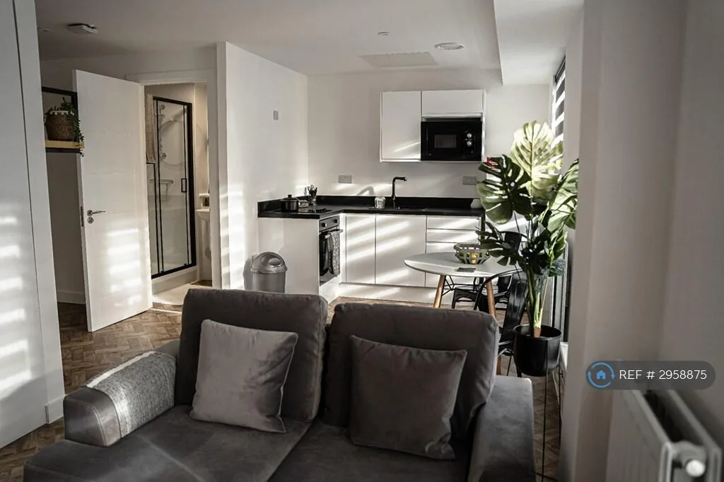 Studio flat for rent