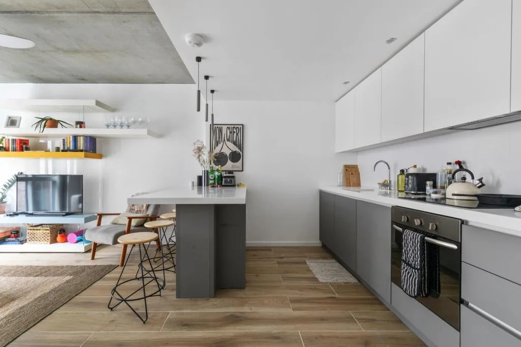 1 bedroom apartment for rent