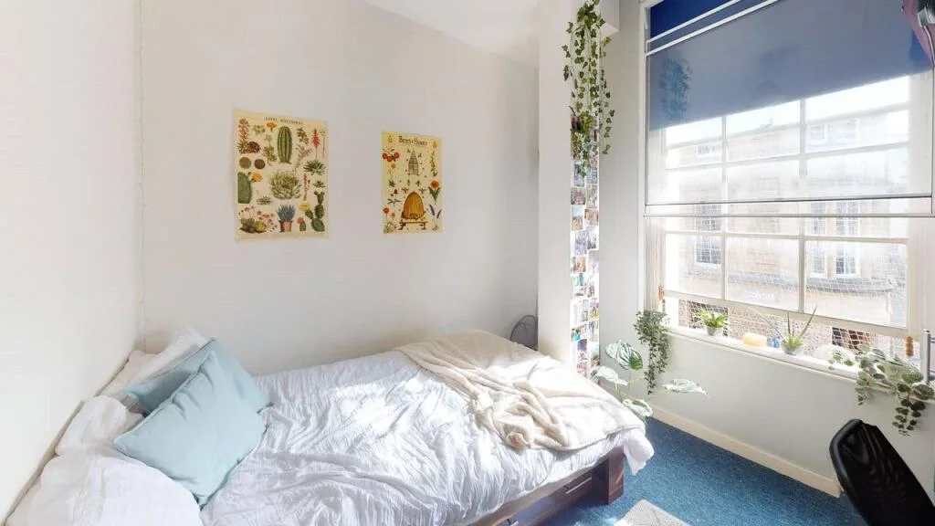 8 bedroom apartment for rent