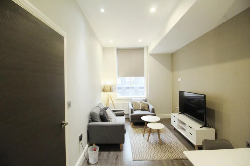 1 bedroom apartment for rent