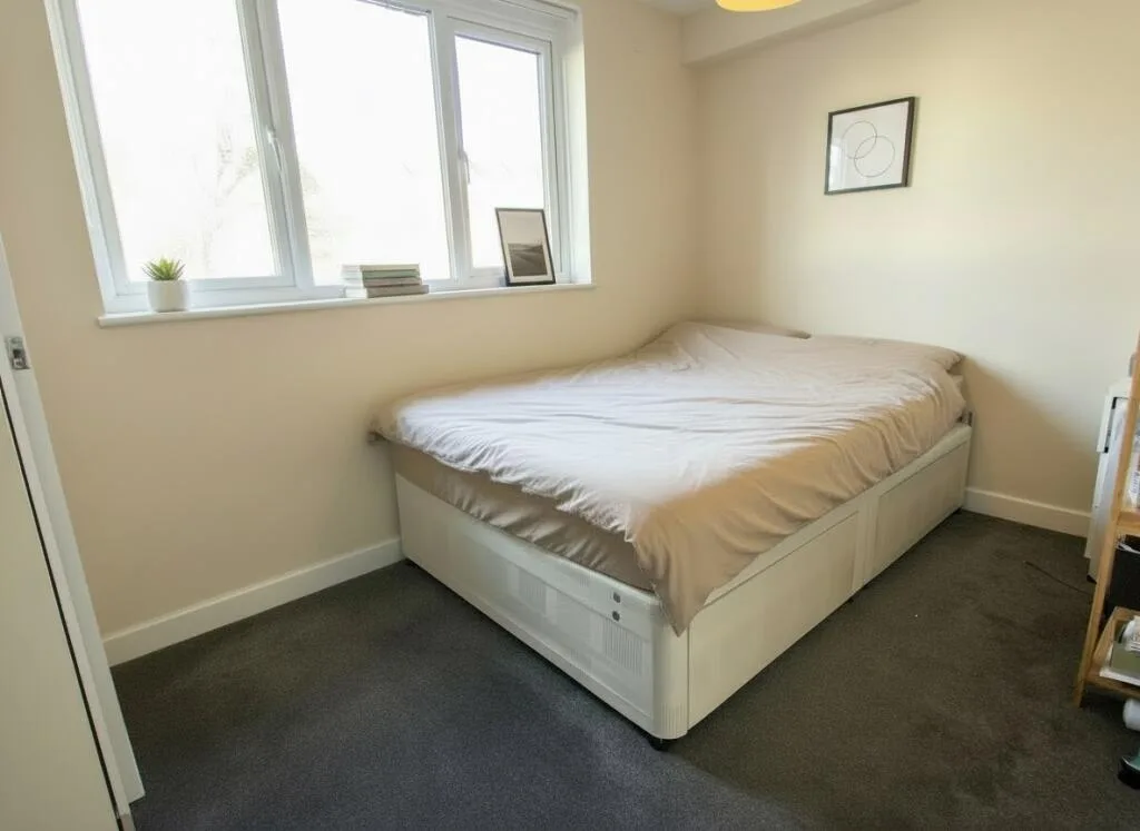 6 bedroom house for rent