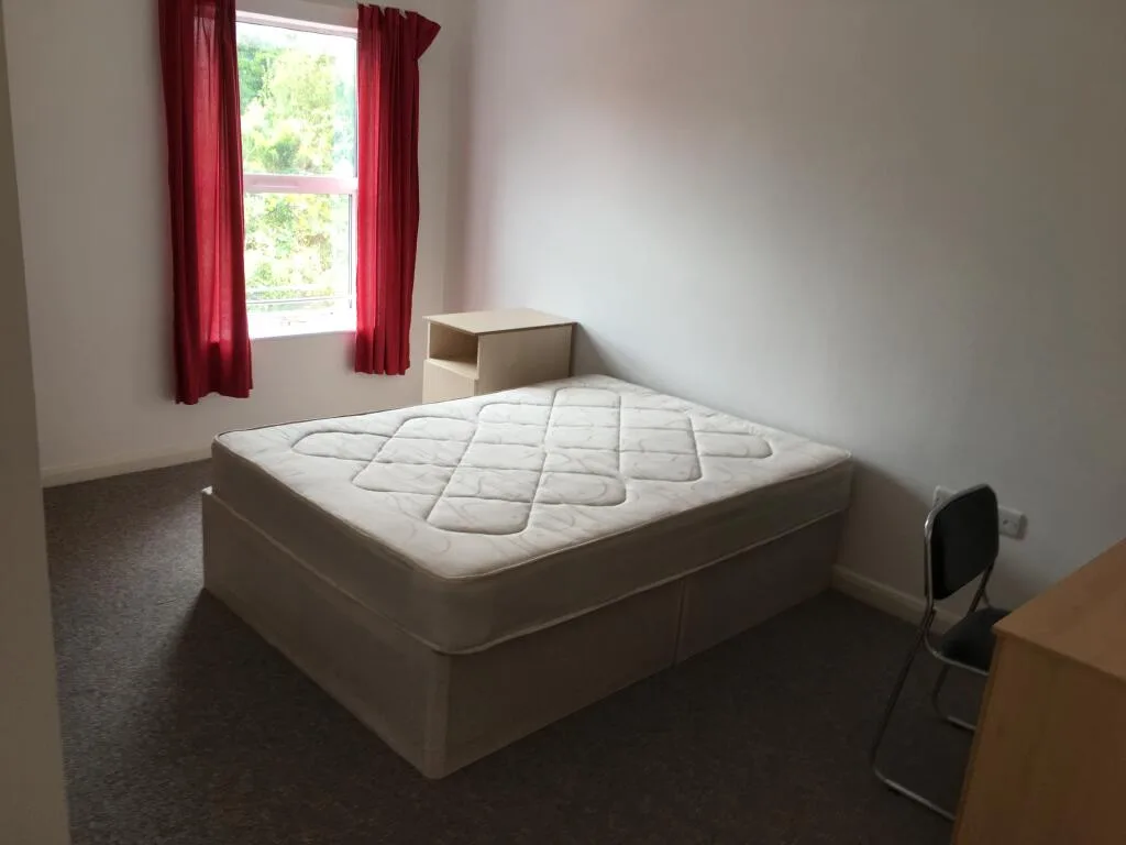 4 bedroom house for rent