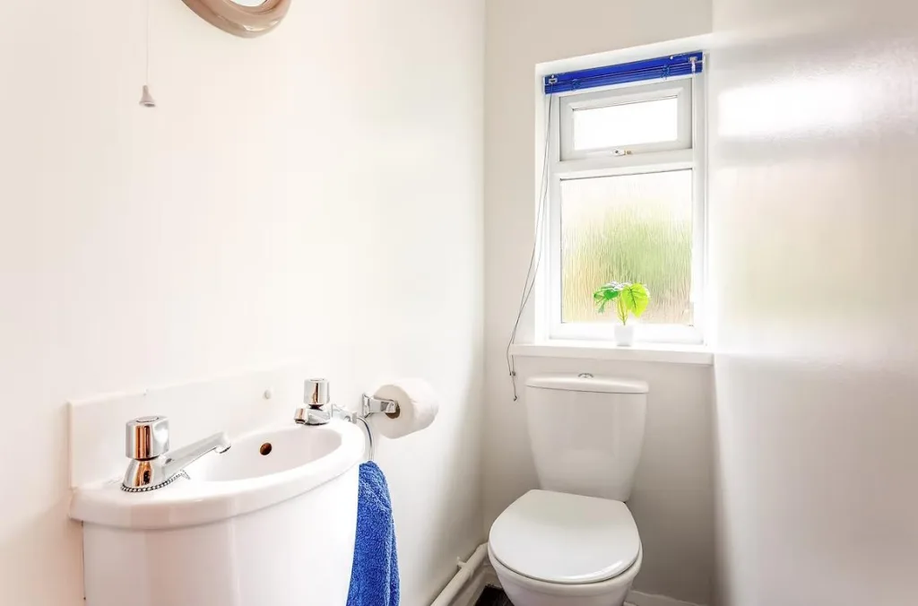 6 bedroom house for rent