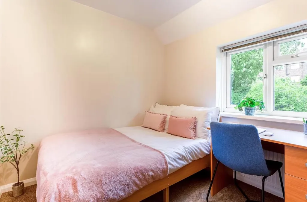 6 bedroom house for rent