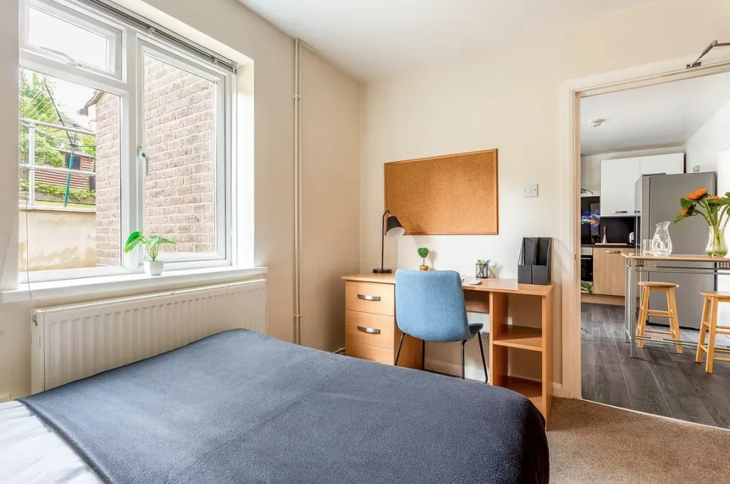 6 bedroom house for rent