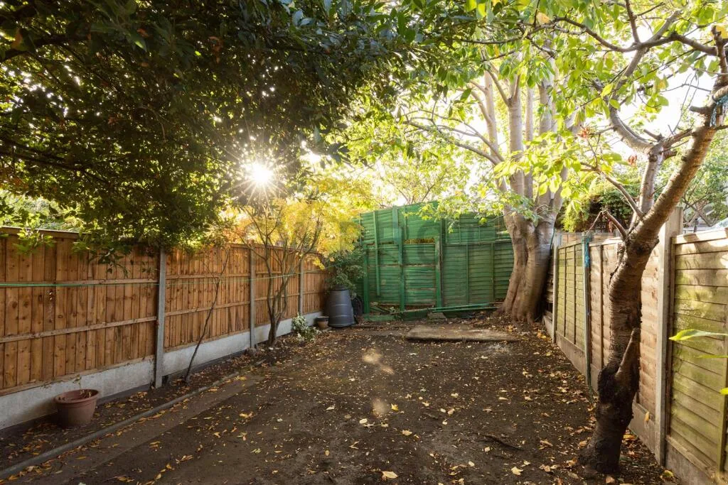 3 bedroom house for rent