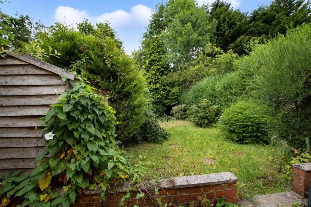 3 bedroom house for rent
