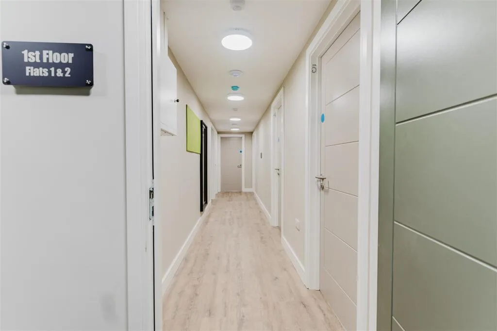 5 bedroom apartment for rent