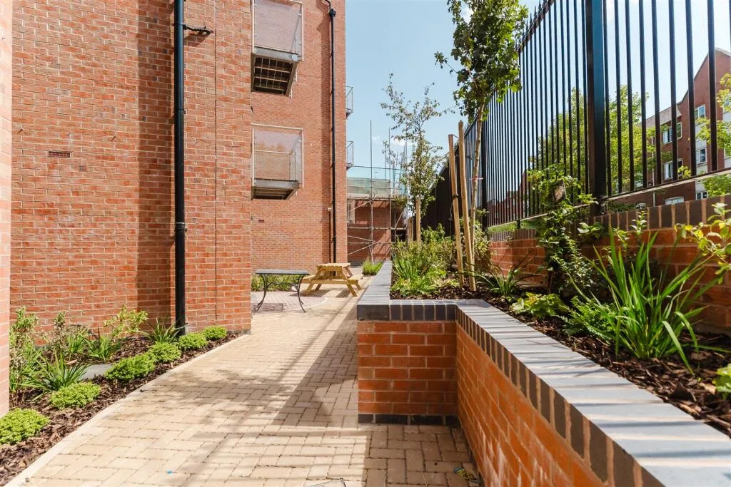 5 bedroom apartment for rent