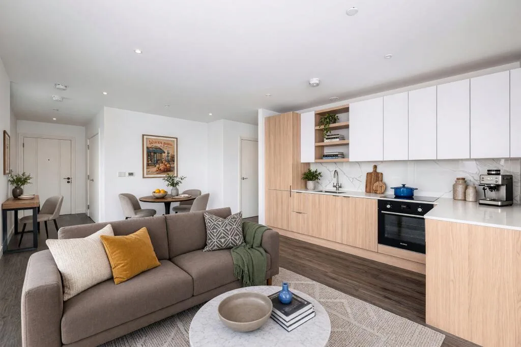 1 bedroom apartment for rent