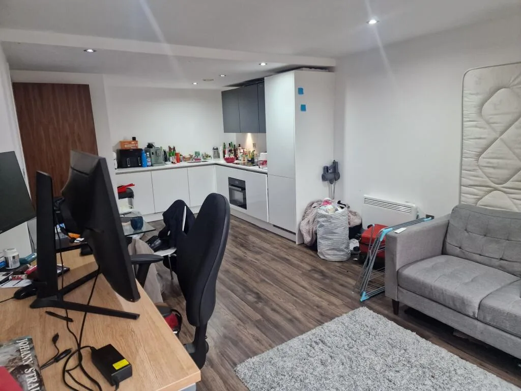 1 bedroom apartment for rent