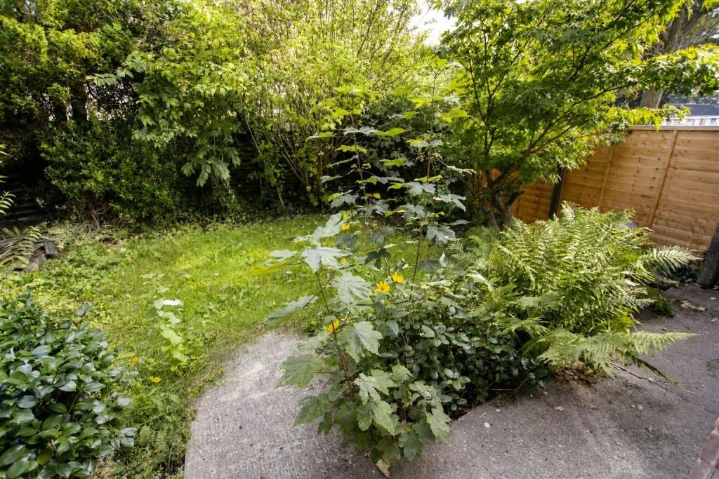 4 bedroom house for rent