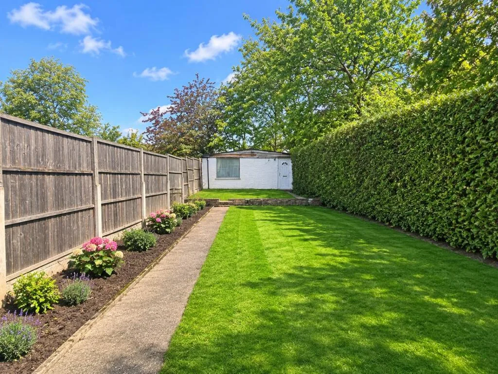 3 bedroom apartment for rent