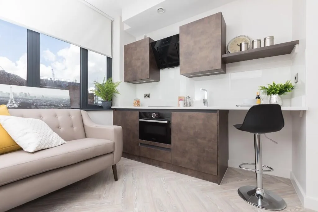 1 bedroom apartment for rent