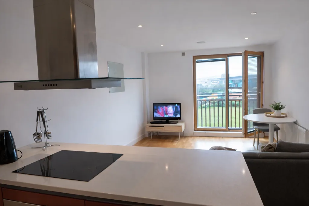 1 bedroom apartment for rent