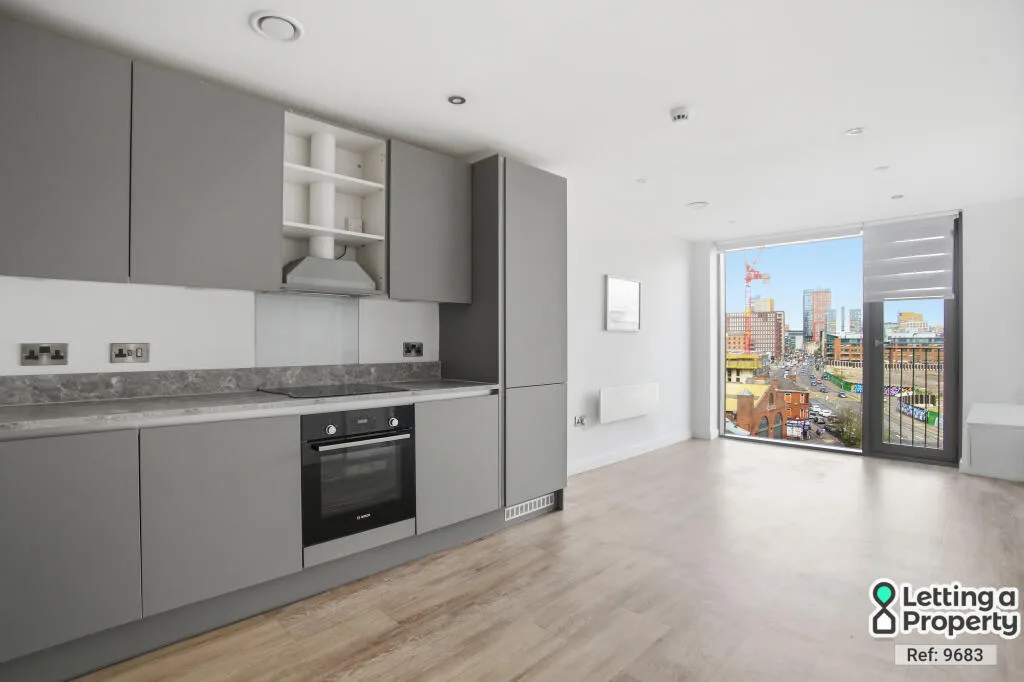 1 bedroom apartment for rent