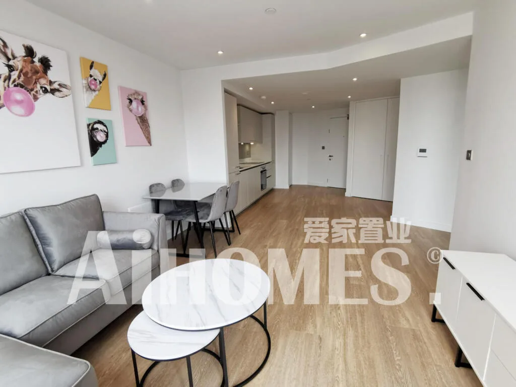 1 bedroom apartment for rent