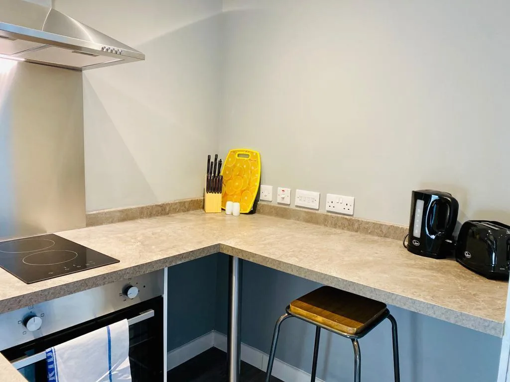 Studio flat for rent
