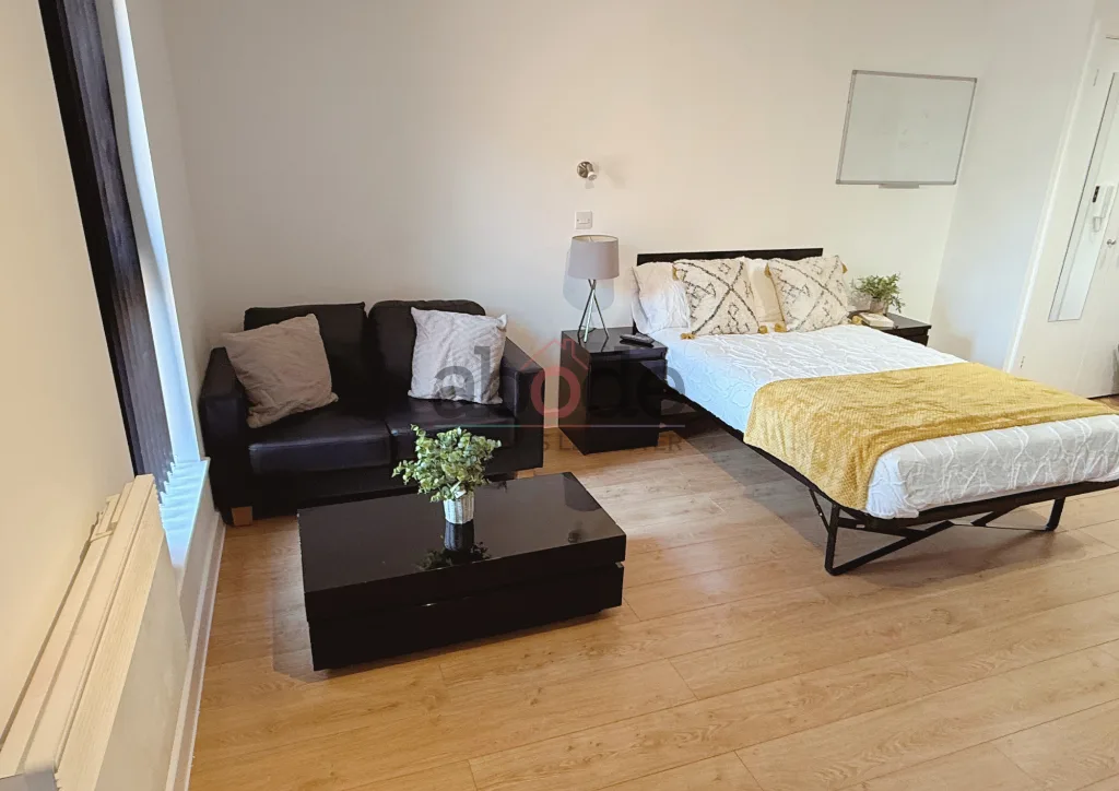 Studio flat for rent