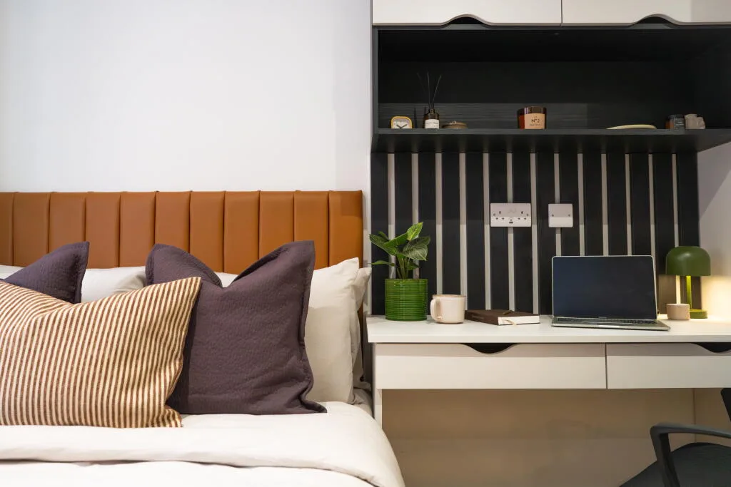 Studio flat for rent