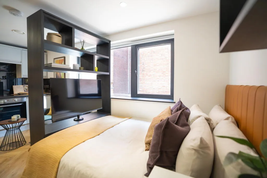 Studio flat for rent