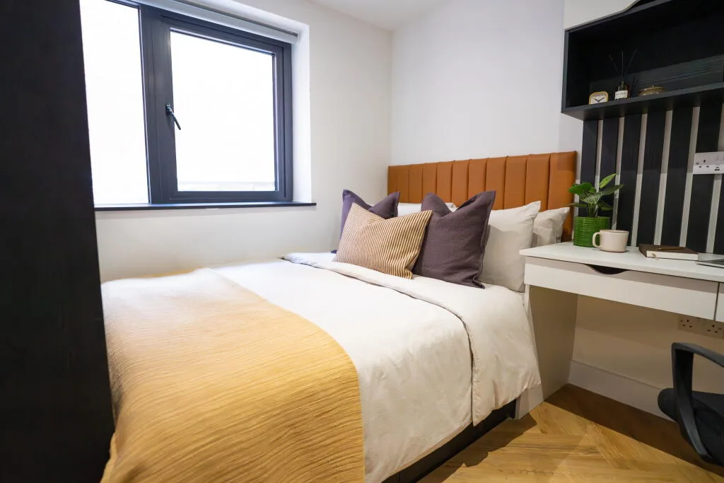 Studio flat for rent