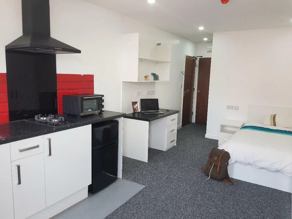 Studio flat for rent