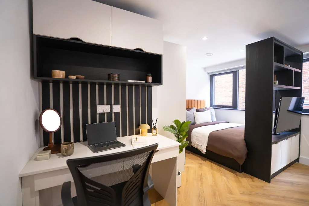 Studio flat for rent