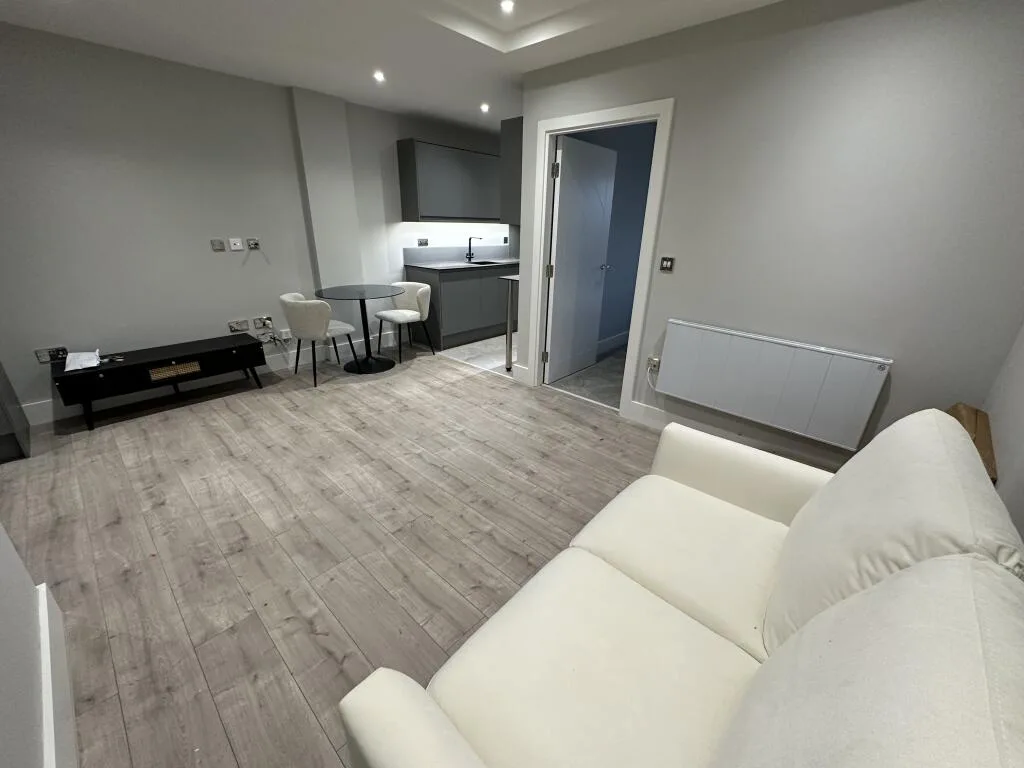 1 bedroom apartment for rent
